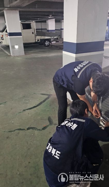 경상북도 체납합동징수팀의 체납차량 번호판 영치활동 모습