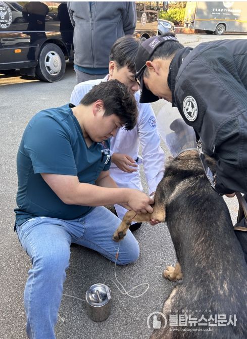 경상국립대학교 수의과대학, APEC 정상회의 기간 경찰견 의료지원